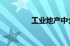 工業地產中介（工業地產）