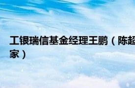 工銀瑞信基金經理王鵬（陳超 工銀瑞信基金管理有限公司經濟學家）