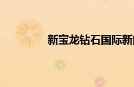 新寶龍鉆石國際新聞（新寶龍鉆石國際）