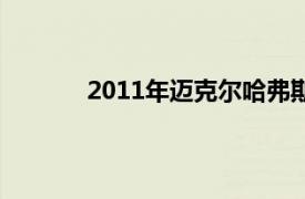 2011年邁克爾哈弗斯特羅姆執導了美國電影