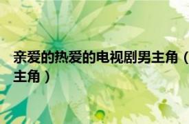 親愛的熱愛的電視劇男主角（佟年 電視劇《親愛的熱愛的》中女主角）