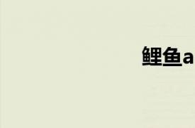 鯉魚ace（裏）