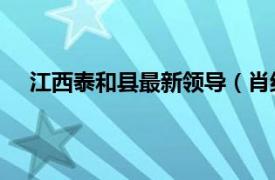 江西泰和縣最新領導（肖紅 江西省泰和縣政府副縣長）