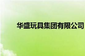 華盛玩具集團(tuán)有限公司（北京華盛玩具有限公司）