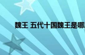 魏王 五代十國魏王是哪里人（魏王 五代十國魏王）