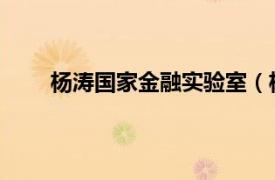 楊濤國家金融實驗室（楊濤 中國社科院金融學者）