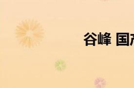 谷峰 國產山寨手機