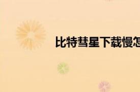 比特彗星下載慢怎么解決（比特彗星）