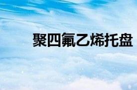 聚四氟乙烯托盤（聚乙烯盛漏托盤）