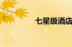 七星級(jí)酒店（24/7酒店）