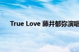 True Love 藤井郁彌演唱歌曲 《愛情白皮書》主題曲
