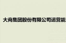 大商集團(tuán)股份有限公司運(yùn)營能力分析（大商集團(tuán)股份有限公司）