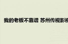 我的老板不靠譜 蘇州傳視影視傳媒股份有限公司出品的電視劇