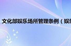 文化部娛樂場所管理條例（娛樂場所管理辦法 文化部令第55號）