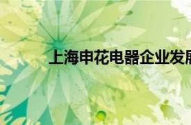 上海申花電器企業(yè)發(fā)展有限公司XQB90-5155