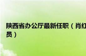 陜西省辦公廳最新任職（肖紅 陜西省政府辦公廳辦公室二級(jí)調(diào)研員）