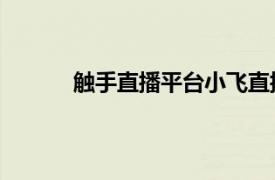 觸手直播平臺(tái)小飛直播荒野（觸手 直播平臺(tái)）