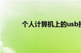 個人計算機上的usb接口通常并不用連接什么
