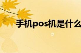 手機pos機是什么意思（手機POS機）