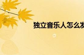 獨立音樂人怎么發行專輯（獨立音樂）
