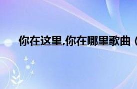 你在這里,你在哪里歌曲（你在哪里 鈺涵演唱的歌曲）