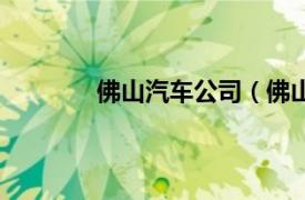 佛山汽車公司（佛山駕來也科技有限公司）