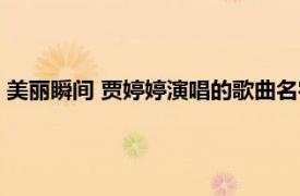 美麗瞬間 賈婷婷演唱的歌曲名字（美麗瞬間 賈婷婷演唱的歌曲）