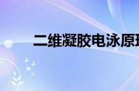 二維凝膠電泳原理（二維凝膠電泳）