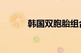 韓國雙胞胎組合（雙胞胎組合）