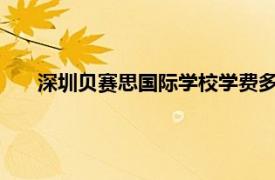 深圳貝賽思國際學(xué)校學(xué)費(fèi)多少錢?（深圳貝賽思國際學(xué)校）