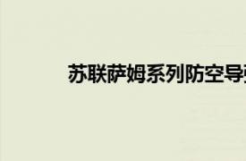 蘇聯(lián)薩姆系列防空導(dǎo)彈（薩姆系列防空導(dǎo)彈）