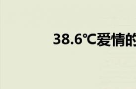 38.6℃愛情的含義（38.6℃）