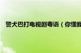 警犬巴打電視劇粵語（你懂我 TVB劇集《警犬巴打》主題曲）