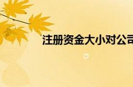 注冊資金大小對公司有何影響（注冊基金）
