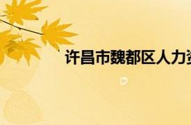 許昌市魏都區人力資源和社會保障局電話