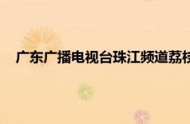 廣東廣播電視臺珠江頻道荔枝網(wǎng)（廣東廣播電視臺珠江頻道）