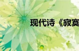 現代詩《寂寞》（寂寞 詩歌）