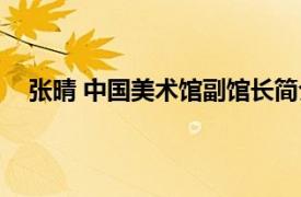 張晴 中國美術館副館長簡介（張晴 中國美術館副館長）