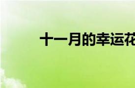 十一月的幸運花（十一月幸運花）