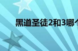 黑道圣徒2和3哪個好玩（黑道圣徒2）