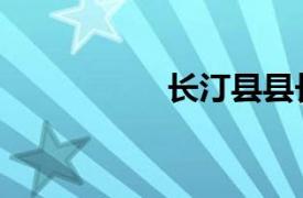 長汀縣縣長（長汀縣）