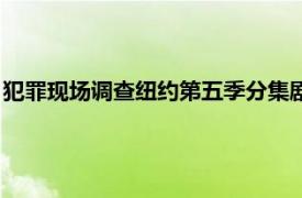 犯罪現場調查紐約第五季分集劇情（犯罪現場調查：紐約第五季）