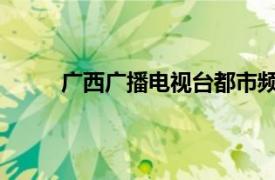 廣西廣播電視臺都市頻道新聞資訊頻道公共頻道