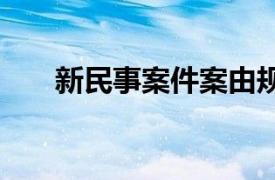 新民事案件案由規定理解與適用2021