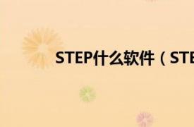 STEP什么軟件（STEP 7軟件應用技術基礎）