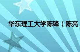 華東理工大學陳鋒（陳亮 華東理工大學商學院副教授）