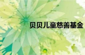 貝貝兒童慈善基金（低碳貝貝 公益活動）