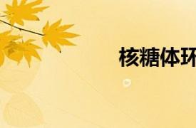 核糖體環溝（環溝）