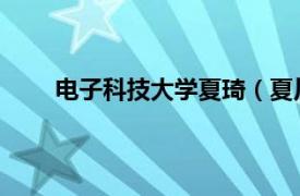 電子科技大學夏琦（夏川 電子科技大學研究人員）