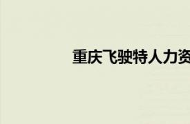 重慶飛駛特人力資源管理有限公司地址